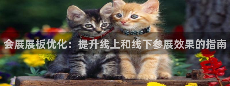 果博公司上分客服：会展展板优化：提升线上和线下参展效果的指南