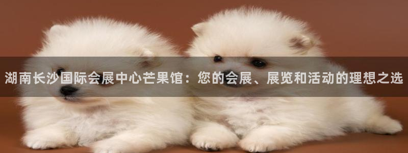 电脑怎么下载果考网：湖南长沙国际会展中心芒果馆：您的会展、展览和活动的理想之选