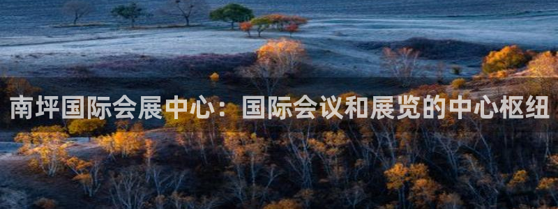 果博网站二维码：南坪国际会展中心：国际会议和展览的中心枢纽