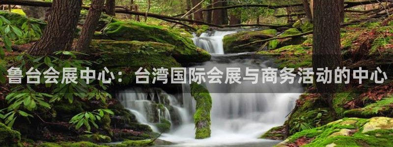 果博公司开户注册：鲁台会展中心：台湾国际