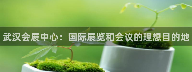 果博注册会员要钱吗：武汉会展中心：国际展览和会议的理想目的地