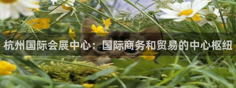 果博注册平台怎么注册账号：杭州国际会展中