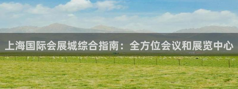 果搏东方客服：上海国际会展城综合指南：全方位会议和展览中心