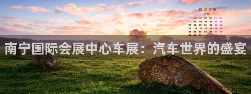 果博手机下载网址：南宁国际会展中心车展：