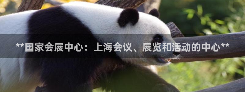 果博注册链接：**国家会展中心：上海会议、展览和活动的中心**