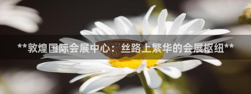 果博集团：**敦煌国际会展中心：丝路上繁华的会展枢纽**