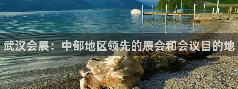 果博注册客服电话是多少号：武汉会展：中部
