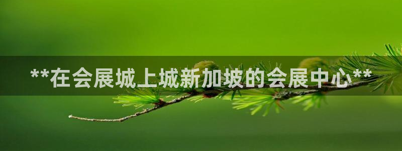 果博注册客服电话号码查询：**在会展城上城新加坡的会展中心**