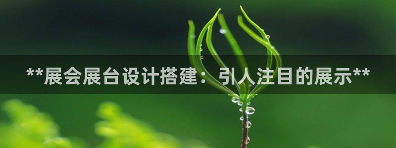 苹果电脑怎么下载博弈大师等软件：**展会展台设计搭建：引人注目的展示**