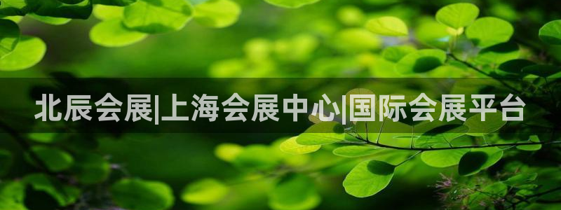 果博平台怎么下载?：北辰会展|上海会展中心|国际会展平台