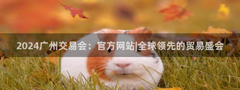果博怎么注册账号和密码：2024广州交易会：官方网站|全球领先的贸易盛会