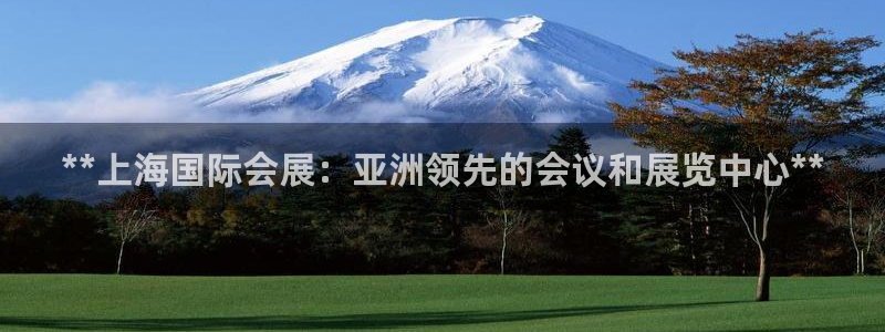 果博代理网：**上海国际会展：亚洲领先的