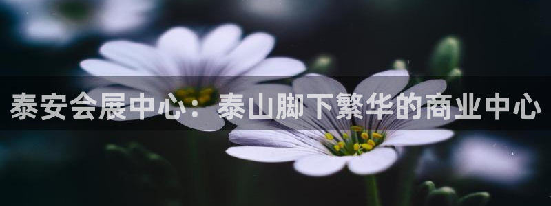 果博平台真实吗知乎推荐：泰安会展中心：泰山脚下繁华的商业中心
