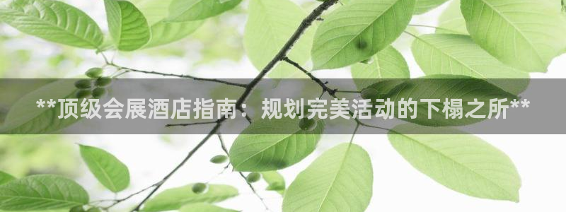 苹果电脑可以下载博易大师吗