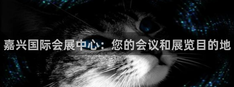 果博网站二维码：嘉兴国际会展中心：您的会议和展览目的地