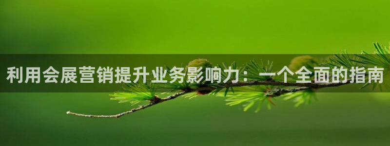 果博注册充值怎么充：利用会展营销提升业务影响力：一个全面的指南