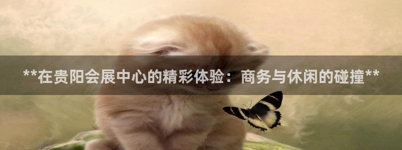 果博注册会员维wckk389：**在贵阳会展中心的精彩体验：商务与休闲的碰撞**