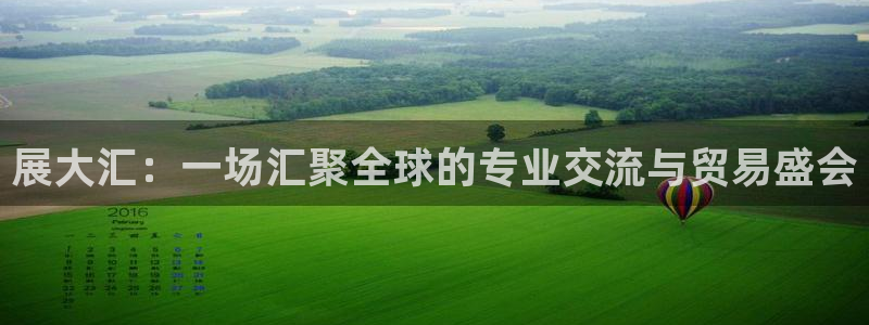 果博公司客服微信号是多少：展大汇：一场汇聚全球的专业交流与贸易盛会