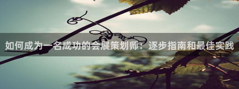 果博代理怎么注册：如何成为一名成功的会展策划师：逐步指南和最佳实践