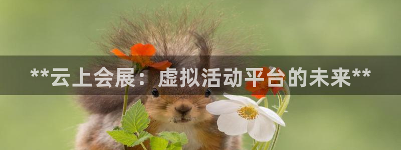 果博环保官网：**云上会展：虚拟活动平台的未来**