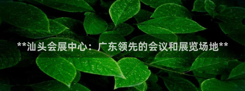 果博注册会员：**汕头会展中心：广东领先的会议和展览场地**