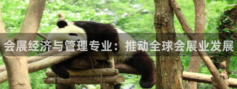 果博电话：会展经济与管理专业：推动全球会展业发展