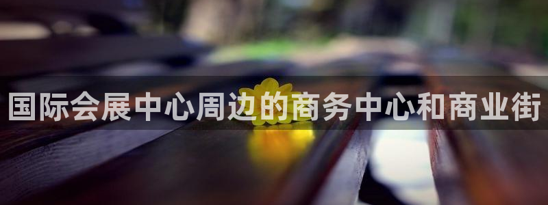 果博注册客服电话：国际会展中心周边的商务中心和商业街
