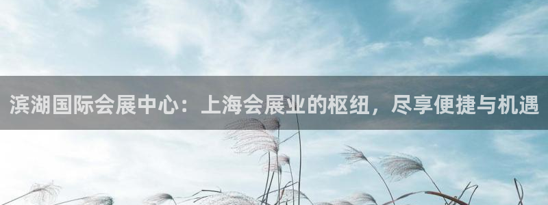 果博管理网