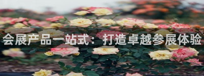 果博公司会员开户：会展产品一站式：打造卓越参展体验