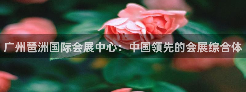 果博注册客服电话是多少号：广州琶洲国际会展中心：中国领先的会展综合体