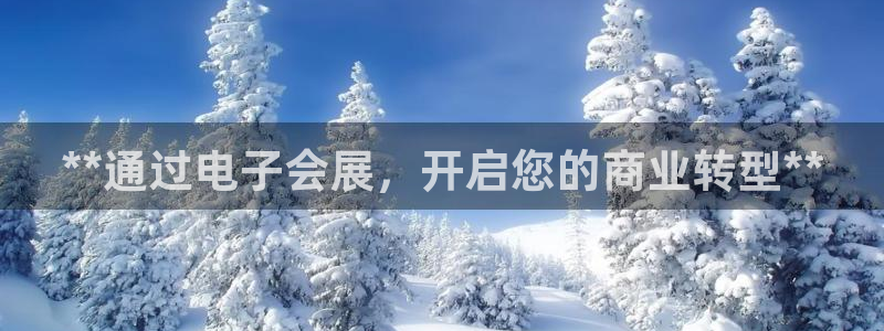 果博真人：**通过电子会展，开启您的商业转型**