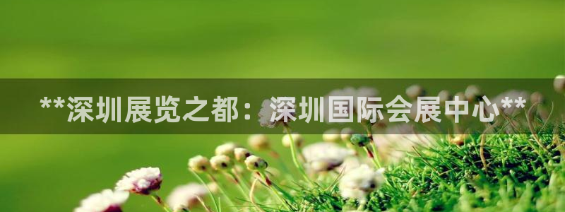 果博注册客服电话号码：**深圳展览之都：深圳国际会展中心**