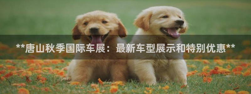 果博平台真实吗安全吗：**唐山秋季国际车展：最新车型展示和特别优惠**