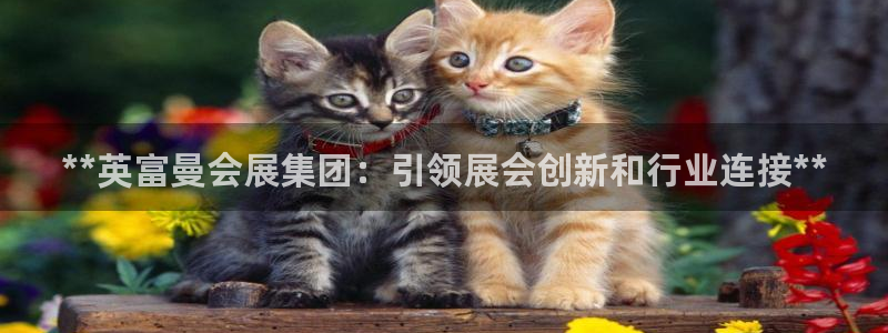 果博公司怎么开户：**英富曼会展集团：引领展会创新和行业连接**