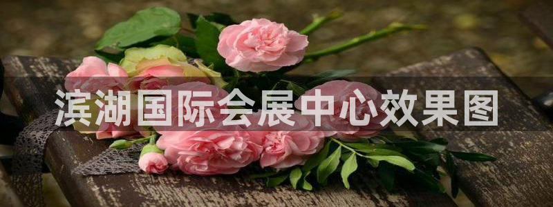 果博公司客服电话：滨湖国际会展中心效果图