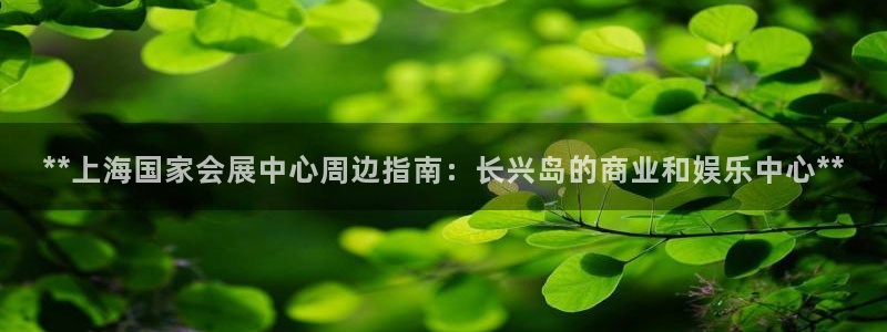 果博公司客服微信号是多少：**上海国家会展中心周边指南：长兴岛的商业和娱乐中心**
