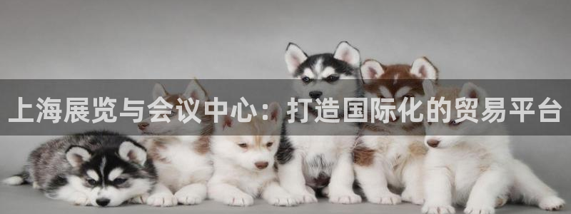 果博公司会员注册：上海展览与会议中心：打造国际化的贸易平台