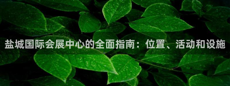 果博手机版下载：盐城国际会展中心的全面指