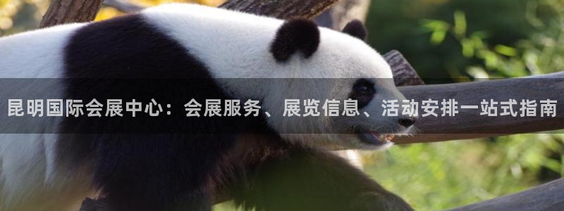 果博注册客服电话是多少号：昆明国际会展中心：会展服务、展览信息、活动安排一站式指南