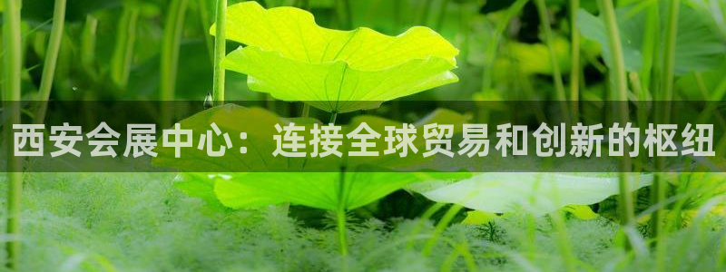 果博注册客服电话号码查询：西安会展中心：连接全球贸易和创新的枢纽
