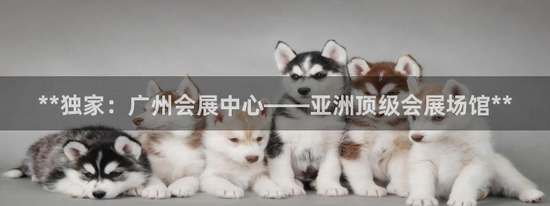 果博注册会员要钱吗：**独家：广州会展中心——亚洲顶级会展场馆**