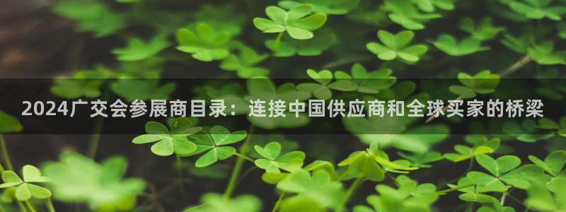 果博公司直属会员开户：2024广交会参展商目录：连接中国供应商和全球买家的桥梁