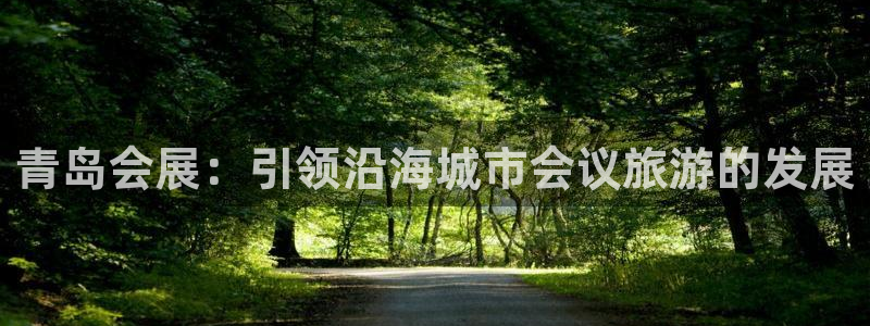 果博手机下载网址：青岛会展：引领沿海城市会议旅游的发展