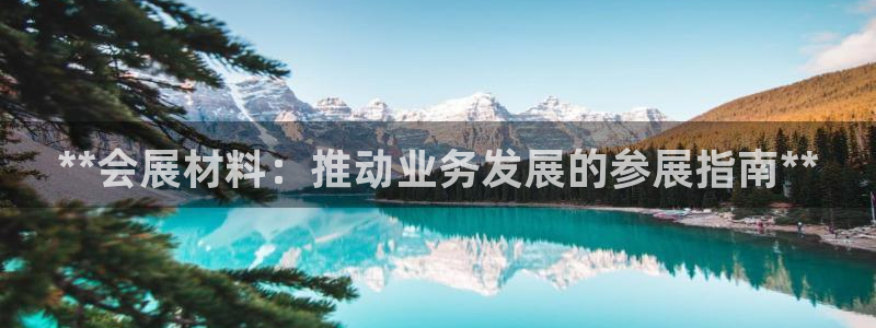果博有假吗：**会展材料：推动业务发展的参展指南**