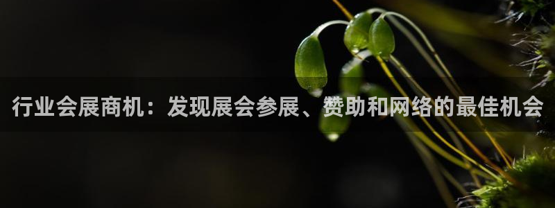 果博公司开户热线：行业会展商机：发现展会参展、赞助和网络的最佳机会