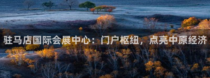 果博平台开户电话号码