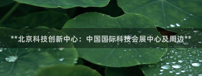 果博注册平台怎么注册账号