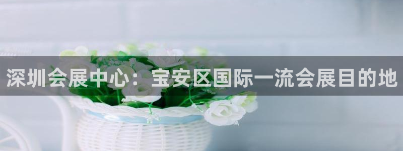 果博官网：深圳会展中心：宝安区国际一流会展目的地