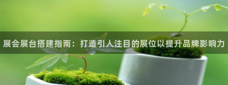 果博公司开户：展会展台搭建指南：打造引人