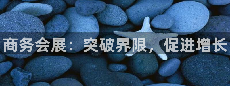 果博手机版下载：商务会展：突破界限，促进增长